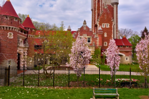 Blossoming cherry trees in front of Casa Loma's red-brick stables and tower in springtime, Toronto, Canada.