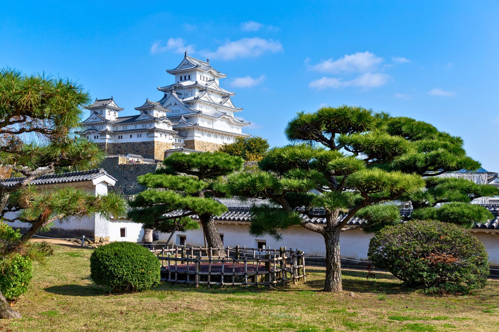 Himeji Castle Rising Behind Japanese Pines on a Clear Day