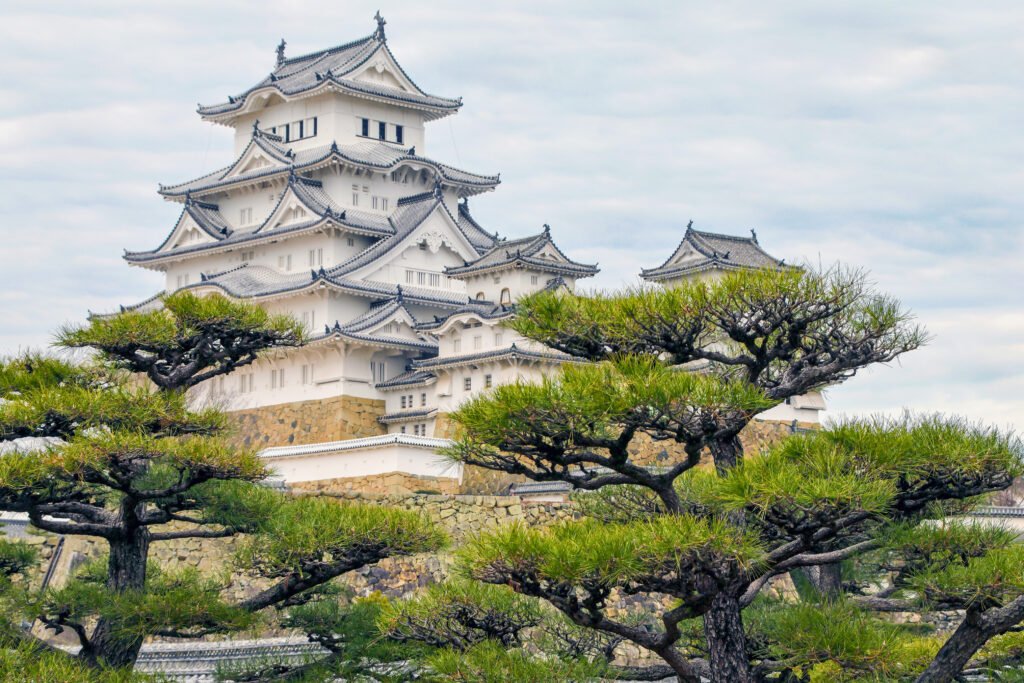 Close-up view of Himeji Castle in Japan with its white plaster walls and traditional rooftops, partially obscured by beautifully shaped pine trees under an overcast sky.