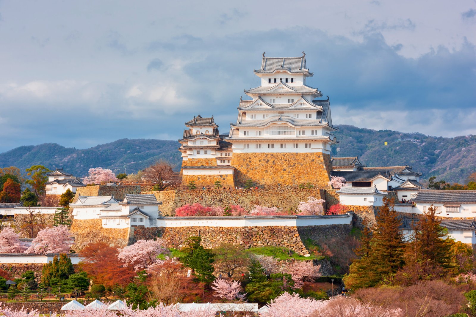 Himeji Castle in Spring: A Cherry Blossom Dream in Japan
