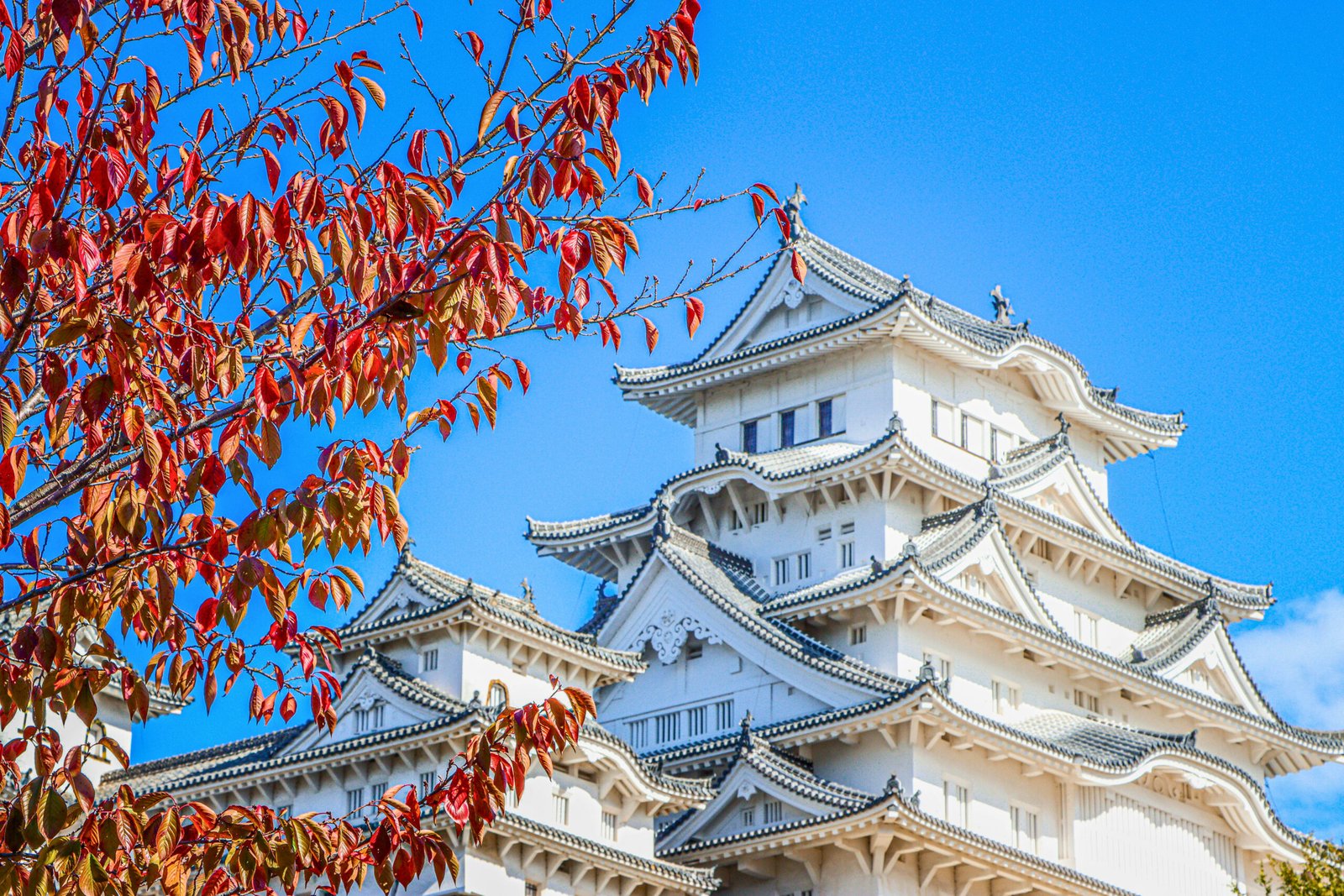 Autumn Colors Framing the Elegance of Himeji Castle