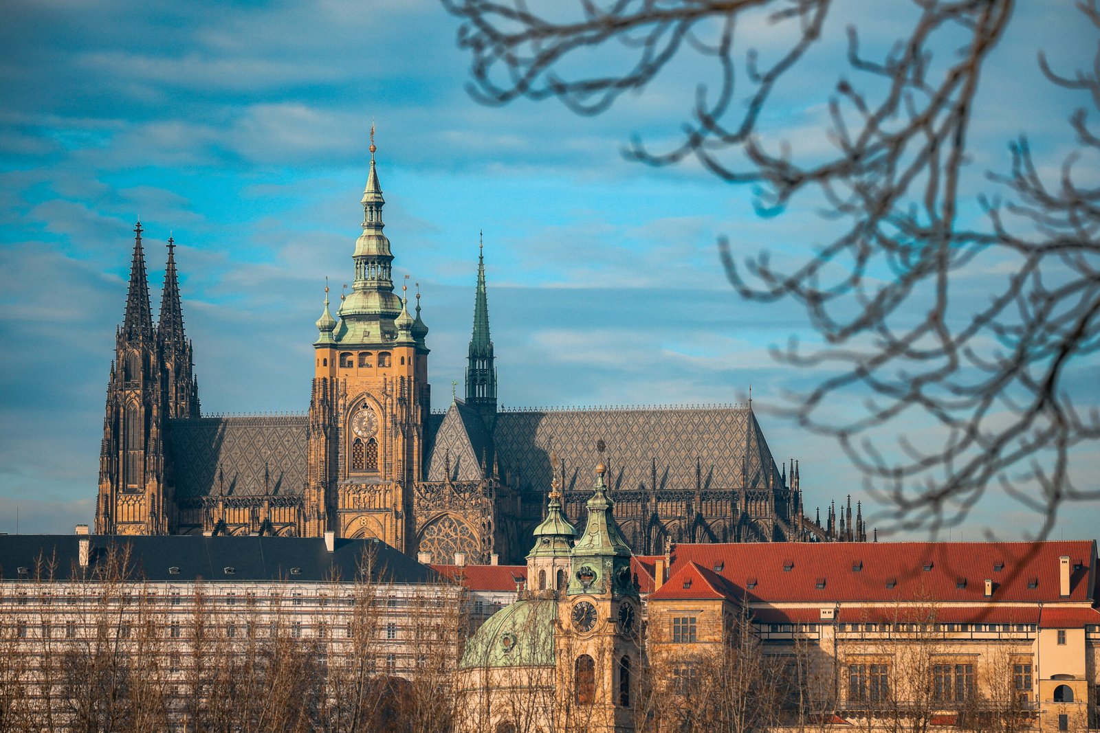 Winter Skyline of Prague Castle Framed by Bare Trees