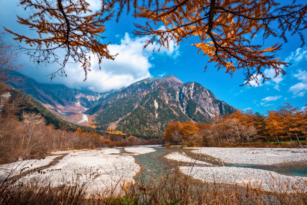 Kamikochi Valley in autumn, with the Azusa River winding through golden larch trees beneath the peaks of the Northern Japan Alps.