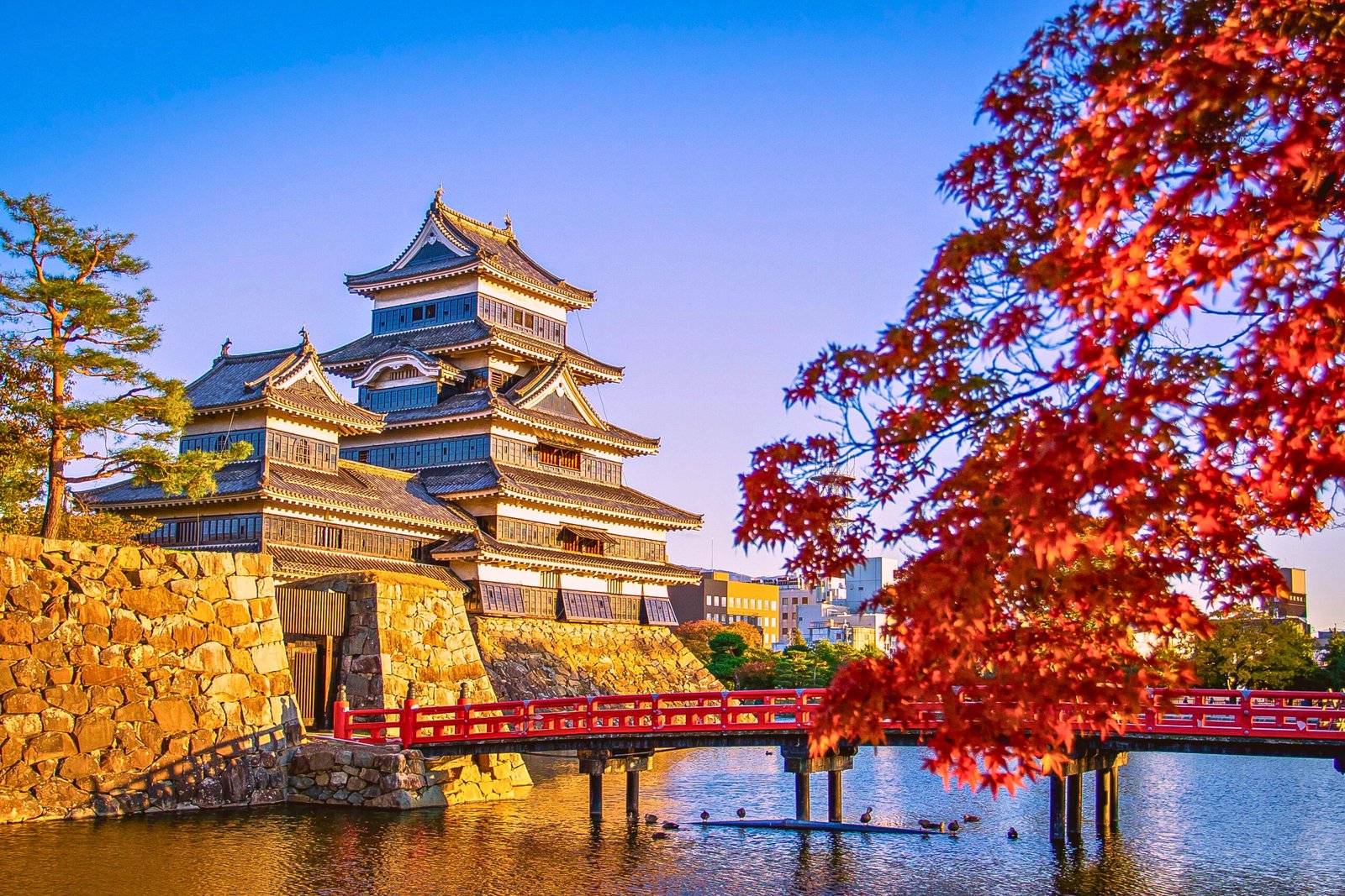 Matsumoto Castle Framed by Autumn Maple Leaves