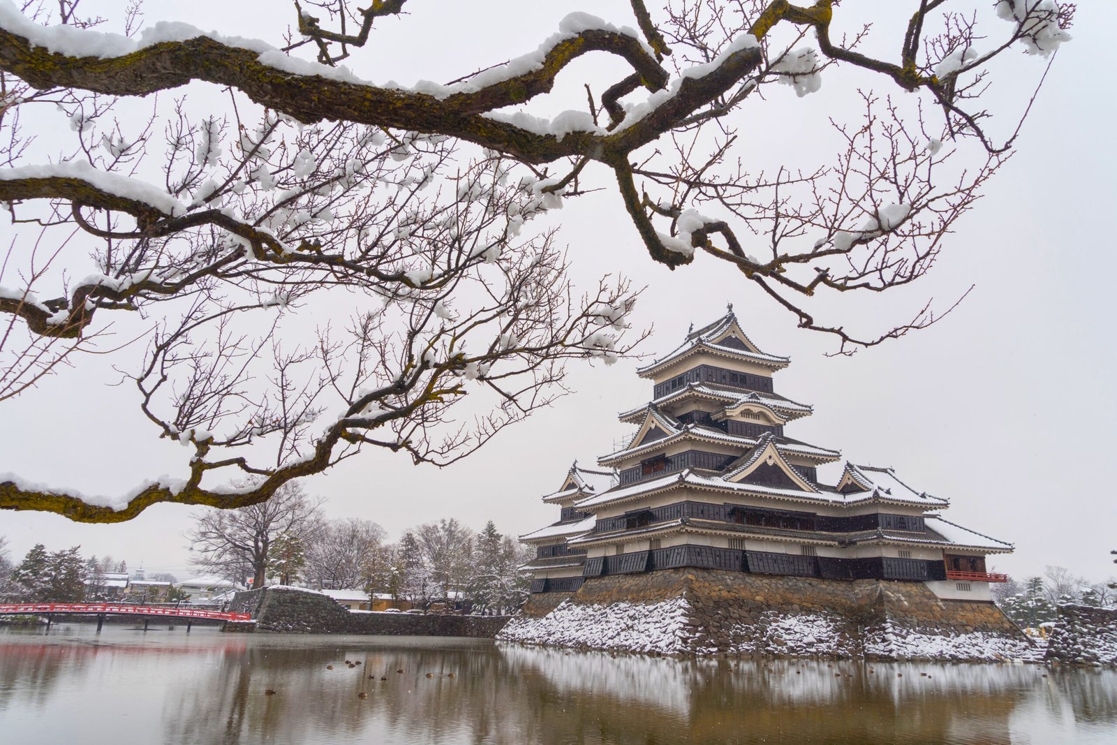 Matsumoto Castle Framed by Snowy Branches in Winter