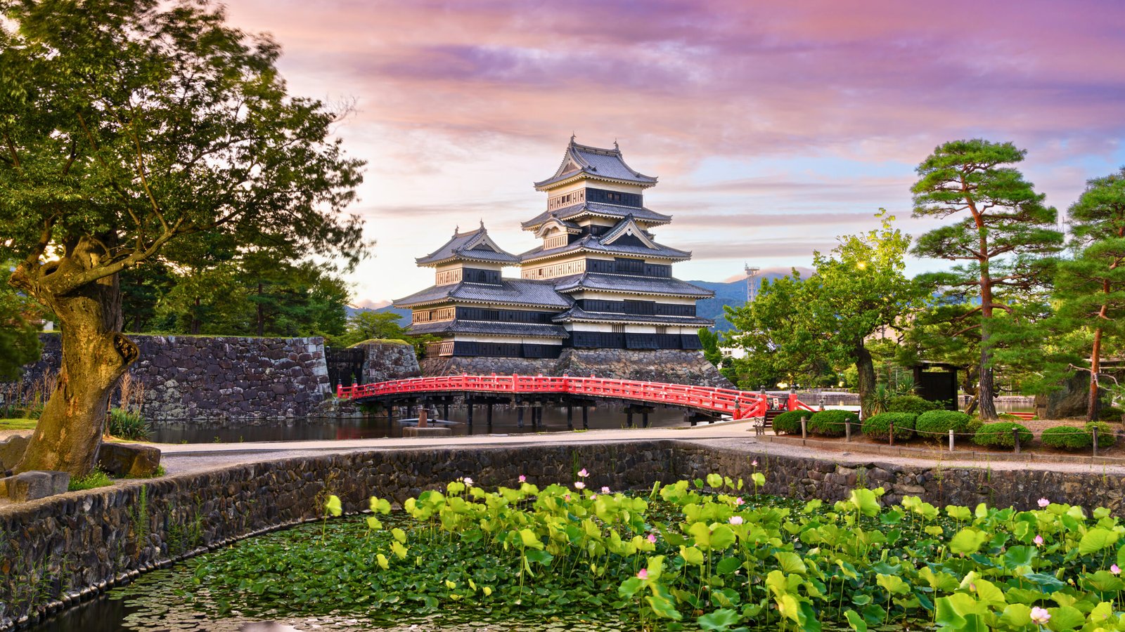 Scenic view of Matsumoto Castle with its iconic red bridge and lotus-filled moat at sunset in Nagano Prefecture, Japan.