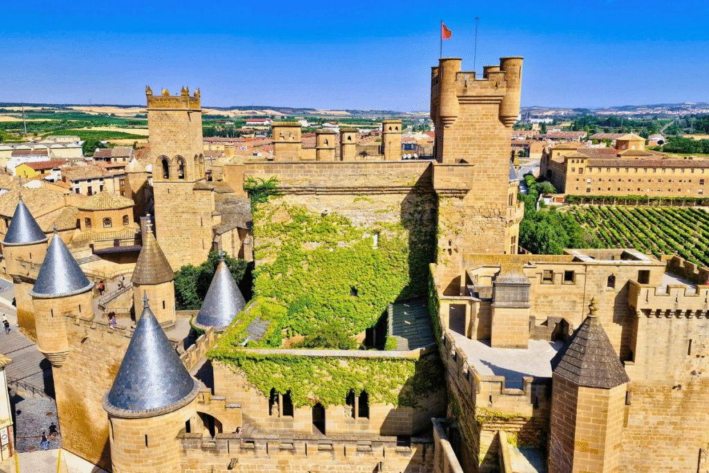 Castillo de Olite’s whimsical Gothic towers and ivy-covered walls overlooking vineyards and the old town in Navarre, Spain