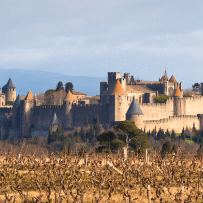 View of Carcassonne Castle, a medieval fortress, under sunlight with vineyards in the foreground.