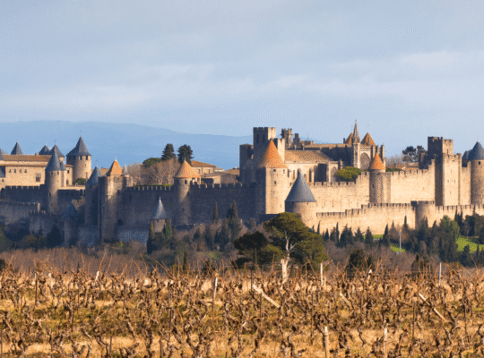 View of Carcassonne Castle, a medieval fortress, under sunlight with vineyards in the foreground.