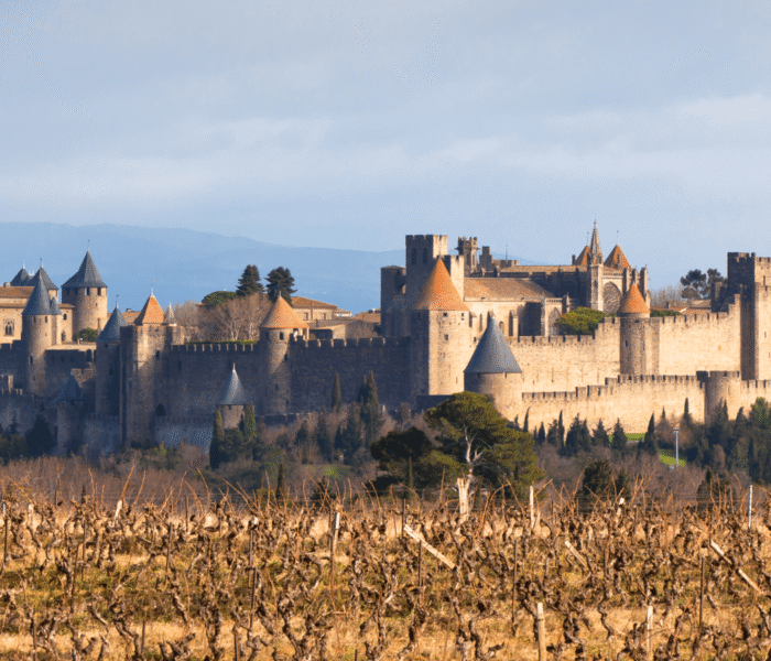 View of Carcassonne Castle, a medieval fortress, under sunlight with vineyards in the foreground.