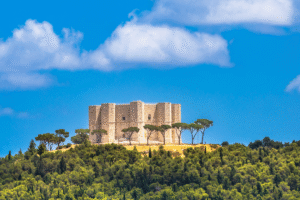 Castel del Monte atop a forested Apulian hill under blue sky, framed by umbrella pines in Italy.