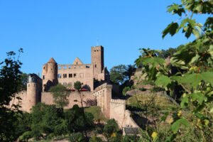 Castle Wertheim ruins on hillside framed by leafy foreground under blue sky