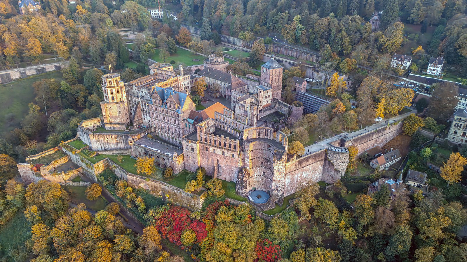 Aerial view of Heidelberg Castle perched above autumn trees and terraces