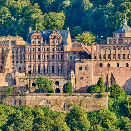 Heidelberg Castle overlooking lush forest and valley, sandstone façades in golden light