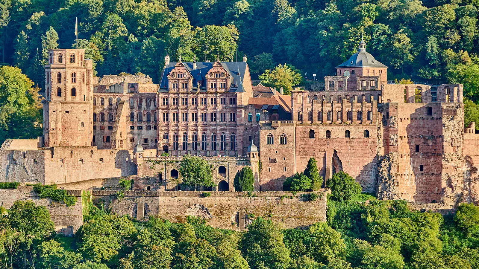 Heidelberg Castle overlooking lush forest and valley, sandstone façades in golden light
