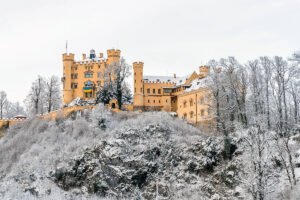 Hohenschwangau Castle perched on snowy hill with frosted trees