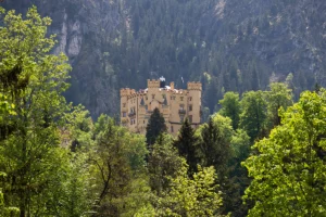 Hohenschwangau Castle framed by lush green forest against rocky alpine cliffs