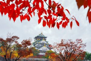 Osaka Castle viewed through vibrant red autumn leaves in Osaka park