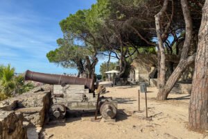Cannon at São Jorge Castle with trees and Lisbon skyline in background