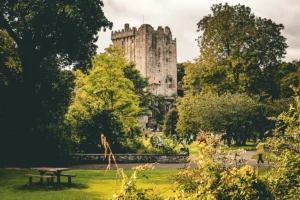 Blarney Castle tower visible through leafy park with visitors walking