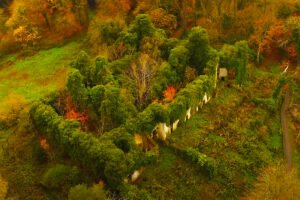 Aerial view of Castle Caldwell overgrown autumn ruins