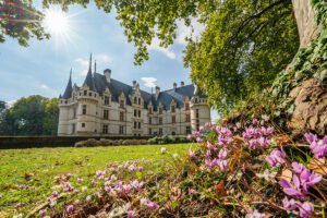 Sunlit Azay‑le‑Rideau château across gardens with foreground cyclamen flowers