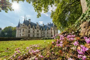 Sunlit Azay‑le‑Rideau château across gardens with foreground cyclamen flowers