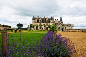 Château d’Amboise with purple flowers in foreground, cloudy sky