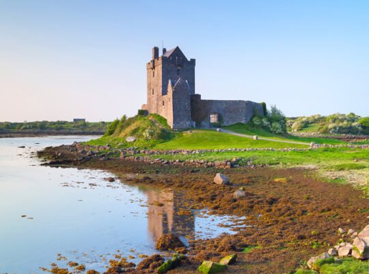 Dunguaire Castle beside calm bay at low tide
