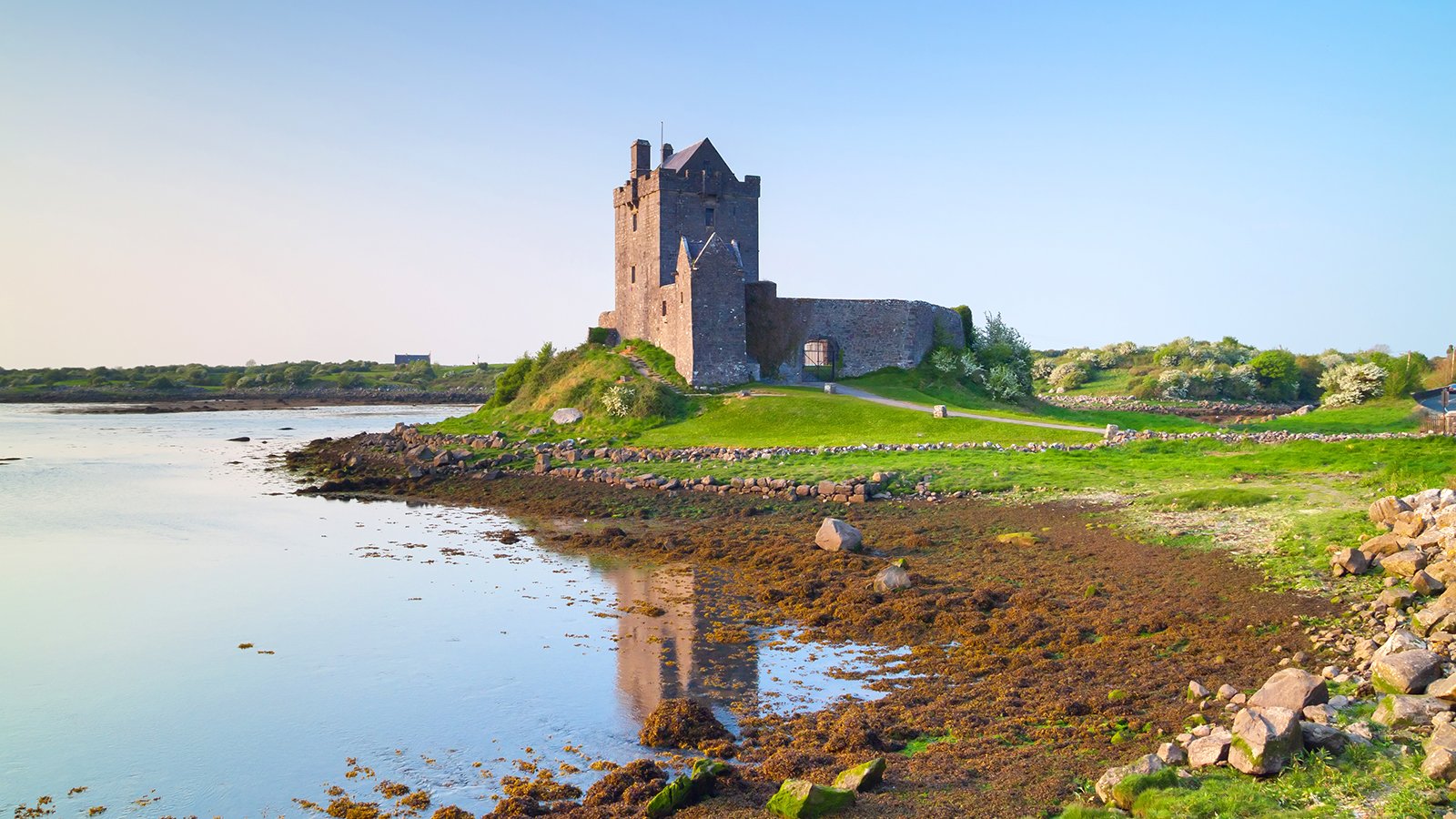 Dunguaire Castle beside calm bay at low tide