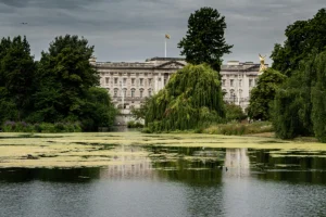 Buckingham Palace viewed across a green lake and trees