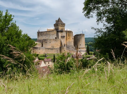 Château de Castelnaud framed by meadow and trees, distant Dordogne valley