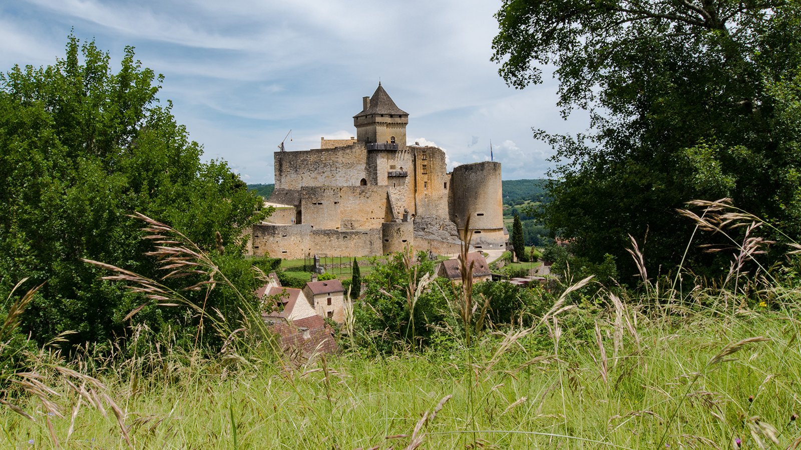 Château de Castelnaud framed by meadow and trees, distant Dordogne valley