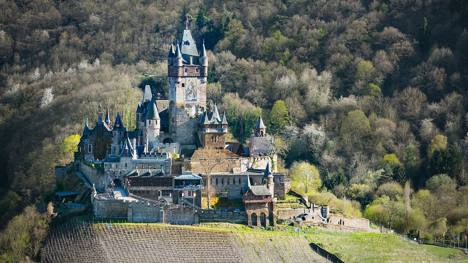 Cochem Castle perched above Moselle River vineyards in springtime