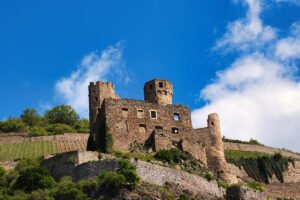 Ehrenfels Castle ruins above terraced vineyards and blue sky