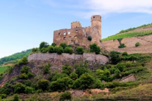 Ehrenfels Castle ruins on hillside overlooking terraced vineyards and blue sky