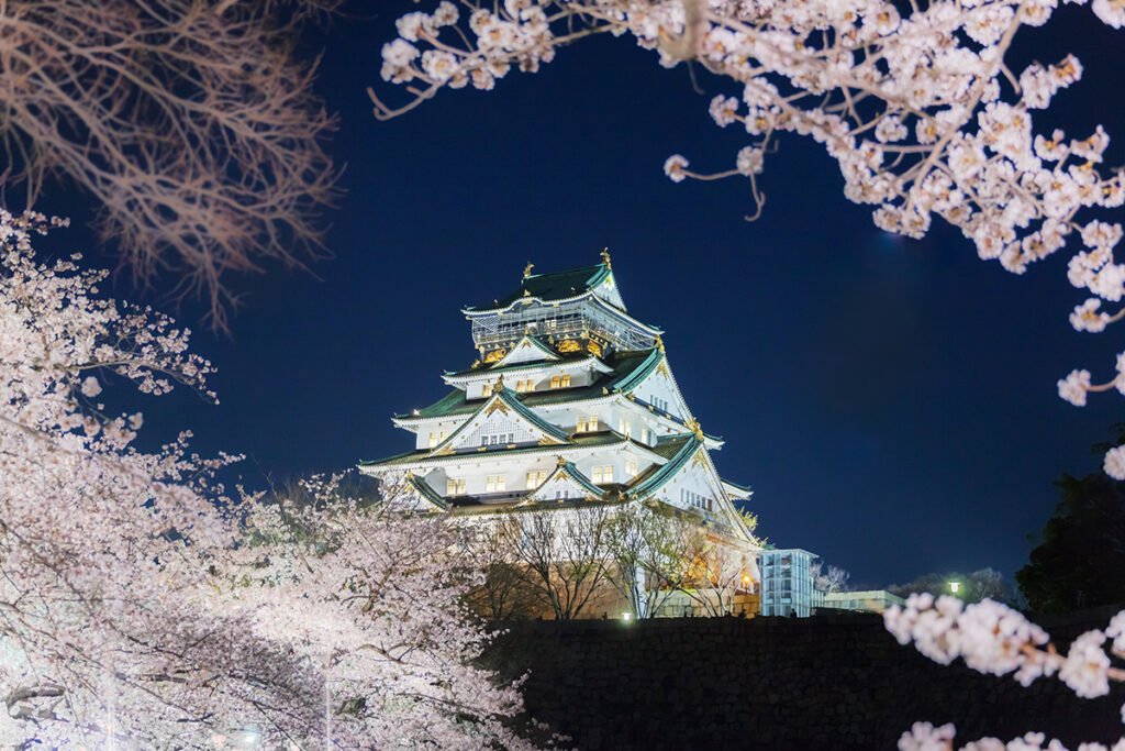 Osaka Castle at night framed by blooming cherry blossoms
